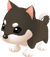 Shiba (SoSFoMT)