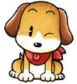 HMDog