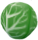 Green Cabbage LOH