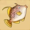 Tsfilefish