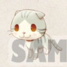 Scottish Fold