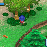 Critters Grb The Harvest Moon Wiki Fandom