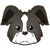 PoOTCollieIcon