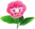 StrawberryPansy (TWoA)