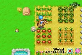 Crops Fomt The Harvest Moon Wiki Fandom