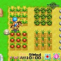 Category:harvest Moon: Friends Of Mineral Town | The Harvest Moon Wiki |  Fandom