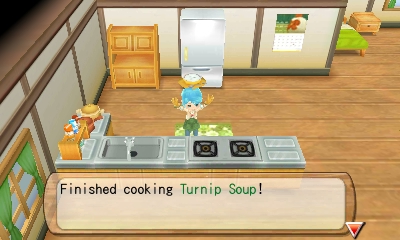 harvest moon tale of two towns soup recipe