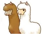 Alpacas (TToTT)