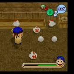 Animals Mm The Harvest Moon Wiki Fandom