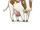 Sumoo (RtP)
