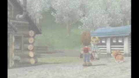 Harvest Moon ANWL Rock 2