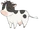 Cow (AP)