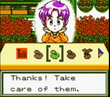 Daisy in the flower shop. Harvest moon 2 cbc