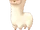 Alpaca (PoOT)