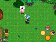 Pets img06