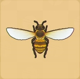 Honeybee