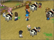 Cow Festival