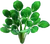 Watercress (TWoA)