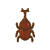 PoOTRhinocerosBeetle
