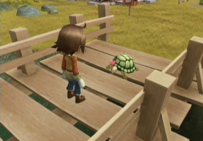 harvest moon tree of tranquility bear