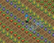 Crops 4.jpg (11 KB) Crops in HM:64