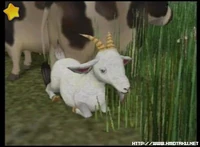 Goats in A Wonderful Life