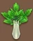 White Celery (TWoA)