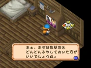 Channel 4 was originally a variety show channel in the original Japanese version (Titled: "Bokujou Monogatari: 2").