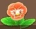Orange Pansy (TWoA)