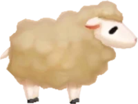 Sheep (SoM)