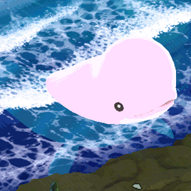 Beluga (FotGK)