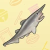 46 Goblin Shark