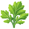 Mugwort (FotGK)