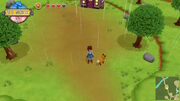 OW FoxLocation
