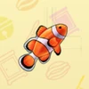 67 Clownfish