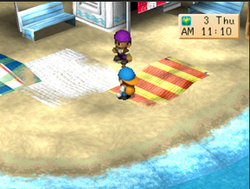 Mineral Beach (BTN), The Harvest Moon Wiki