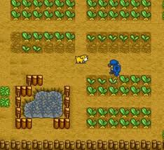 harvest moon ds farm planner