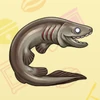 40 Frilled Shark