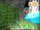 Waterfall Mine (BTN)