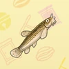 03 Pond Loach