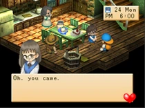 Starry Night Festival