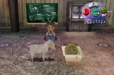 Sheep (AWL) | The Harvest Moon Wiki | Fandom