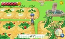 Crops 8.jpg (12 KB) Crops in ANB