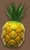 Pineapple1 (TWoA)