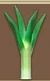 Leek (TWoA)