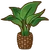 PoOTBirdofParadisePlant