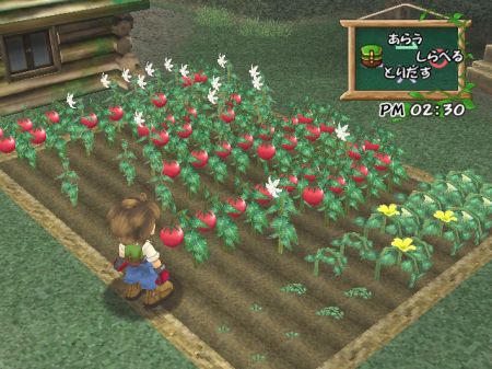 Crops AWL The Harvest Moon Wiki Fandom