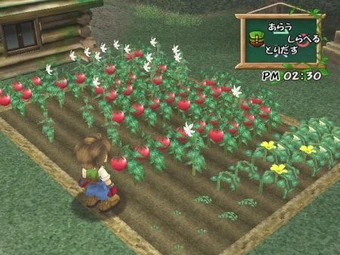 Crops Awl The Harvest Moon Wiki Fandom