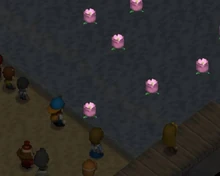 Everyone releases the Firefly Lanterns