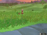 Verdant Hill (PoOT)